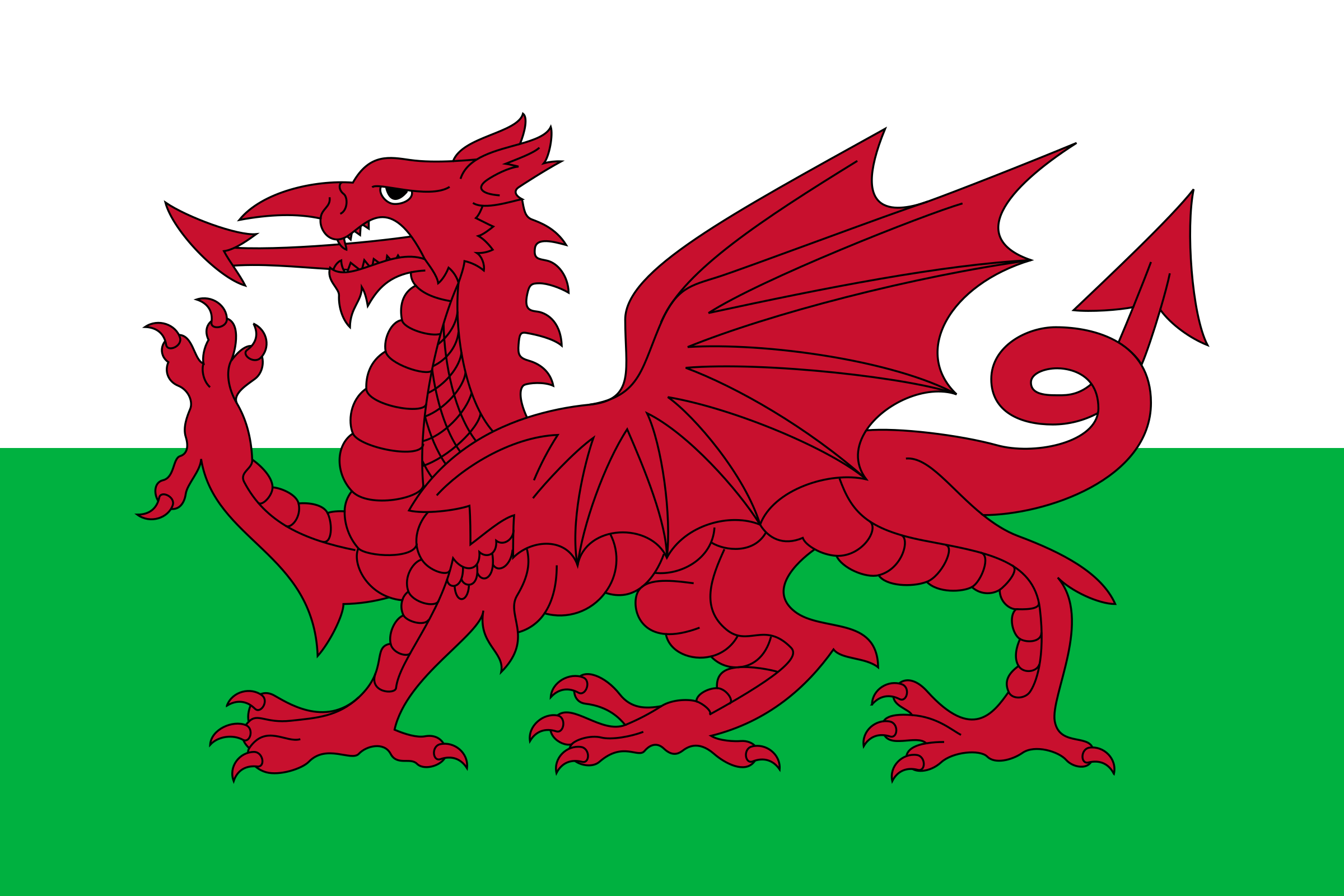 Drapeau pays de galles
