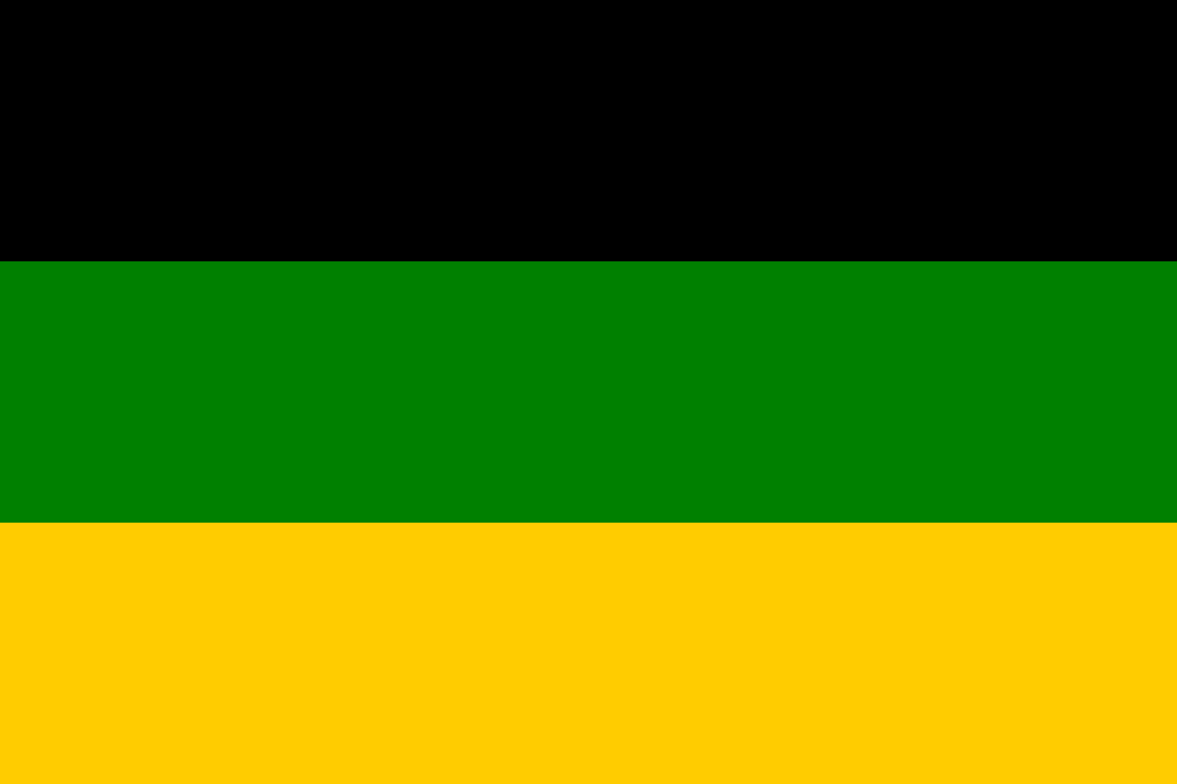 Drapeau de l'ANC